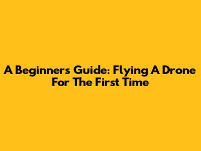 A Beginner's Guide: Flying A Drone For The First Time